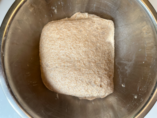 shaped bread dough